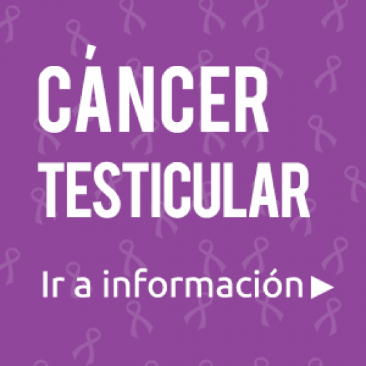 Cáncer testicular